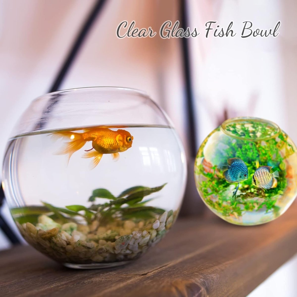 Transparent Decorative Fish Bowl - Techmanistan in Pakistan