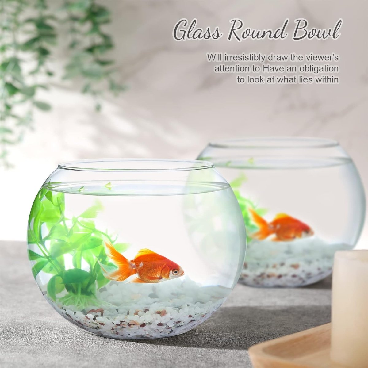 Transparent Decorative Fish Bowl - Techmanistan in Pakistan