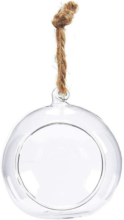 Transparent Globe Hanging Glass Vase - Techmanistan in Pakistan