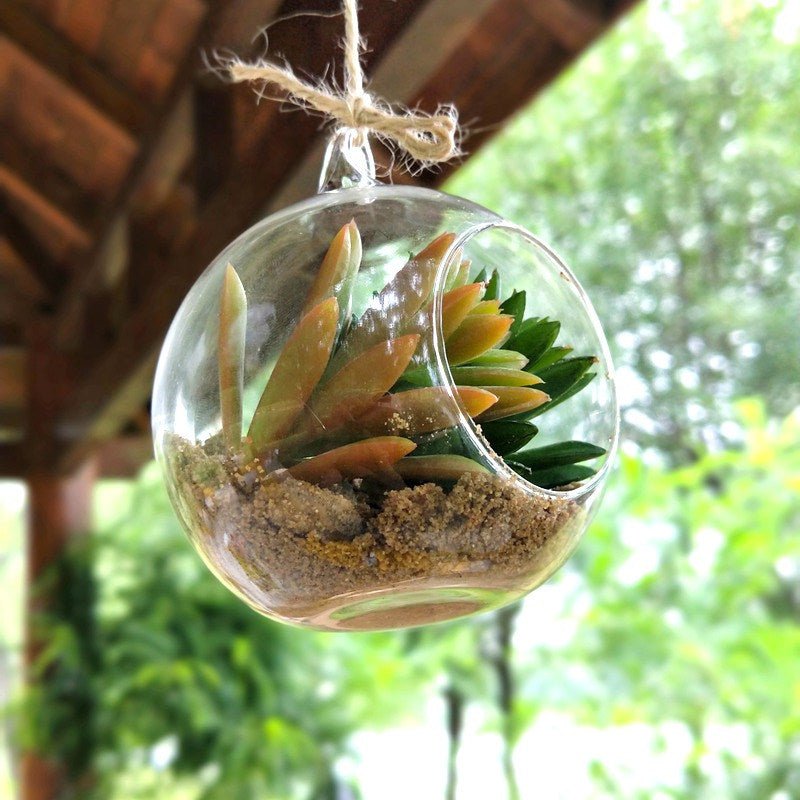 Transparent Globe Hanging Glass Vase - Techmanistan in Pakistan