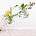 Wall Mounted Hanging Glass Vase - Techmanistan in Pakistan