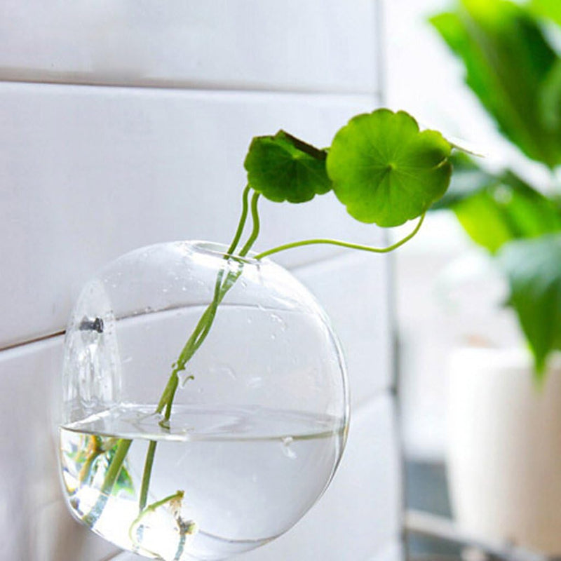 Wall Mounted Hanging Glass Vase - Techmanistan in Pakistan