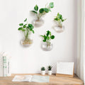 Wall Mounted Hanging Glass Vase - Techmanistan in Pakistan